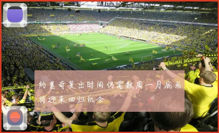 约基奇复出时间仍需数周一月底或将迎来回归机会